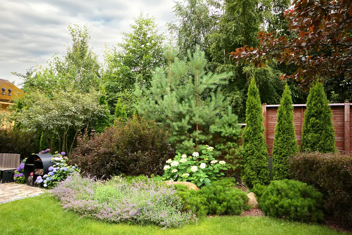 Зона очага с дровницей-кольцом, гортензии и котовник